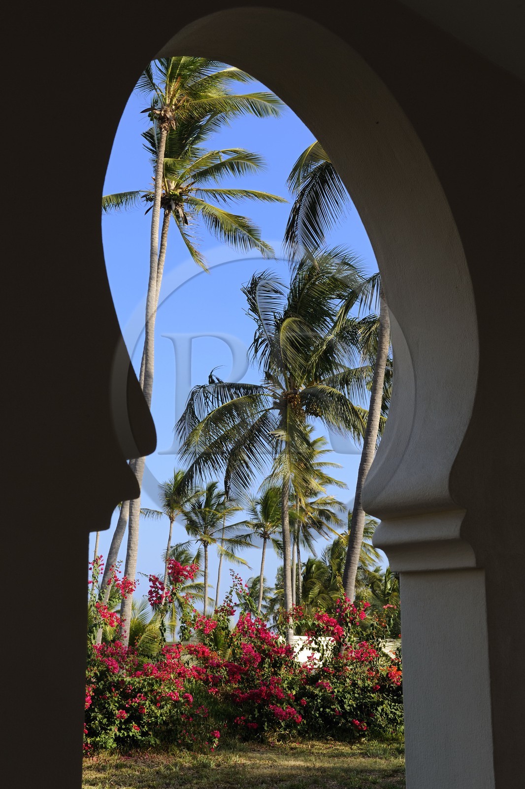 Tanzanie, archipel de Zanzibar, île de Unguja (Zanzibar), côte Sud-Est, Bwejuu, le luxueux Baraza Resort & Spa