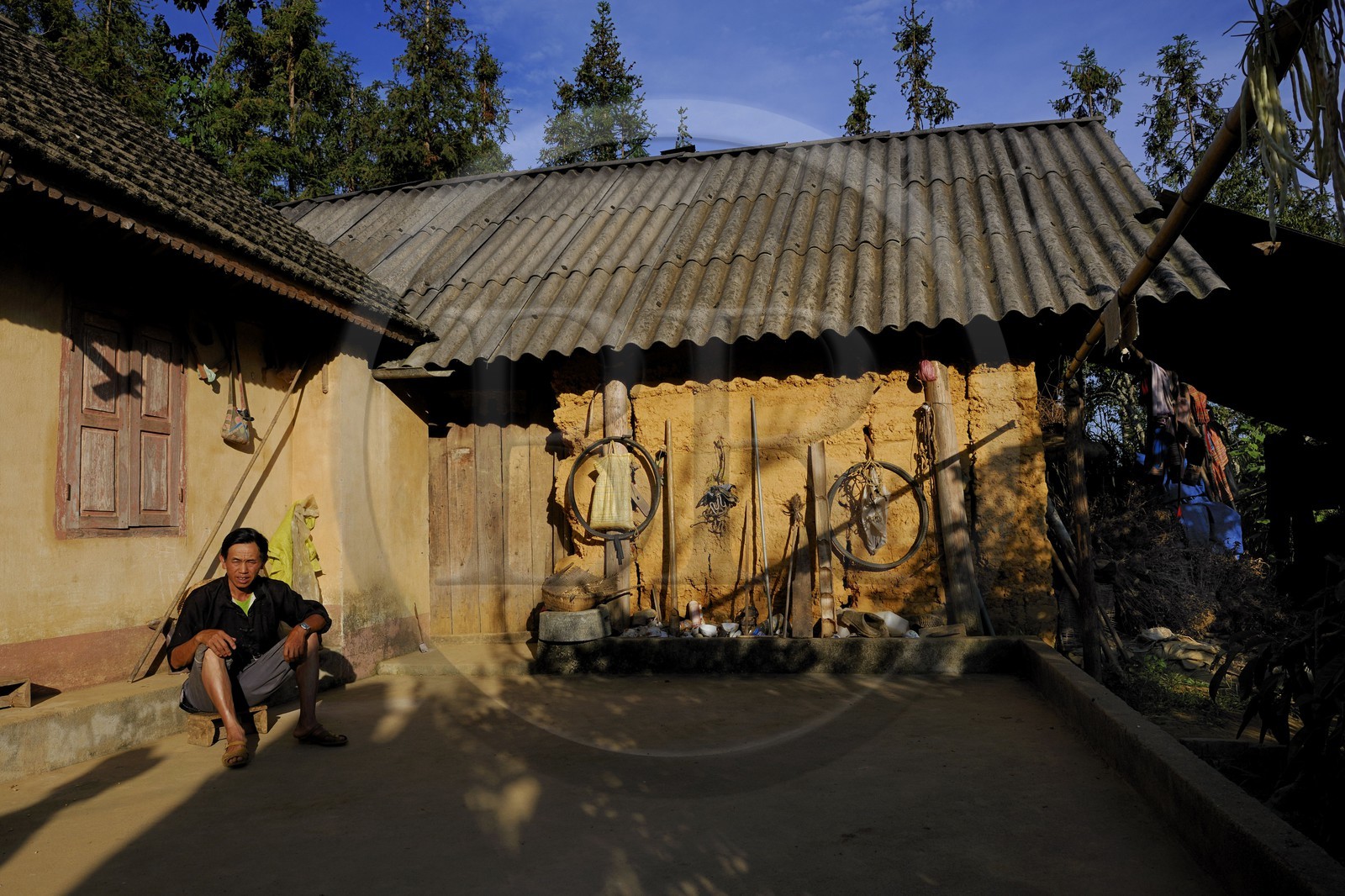Vietnam, province de Lao Cai, région de Bac Ha, paysan de la la minorité Hmong Fleurs