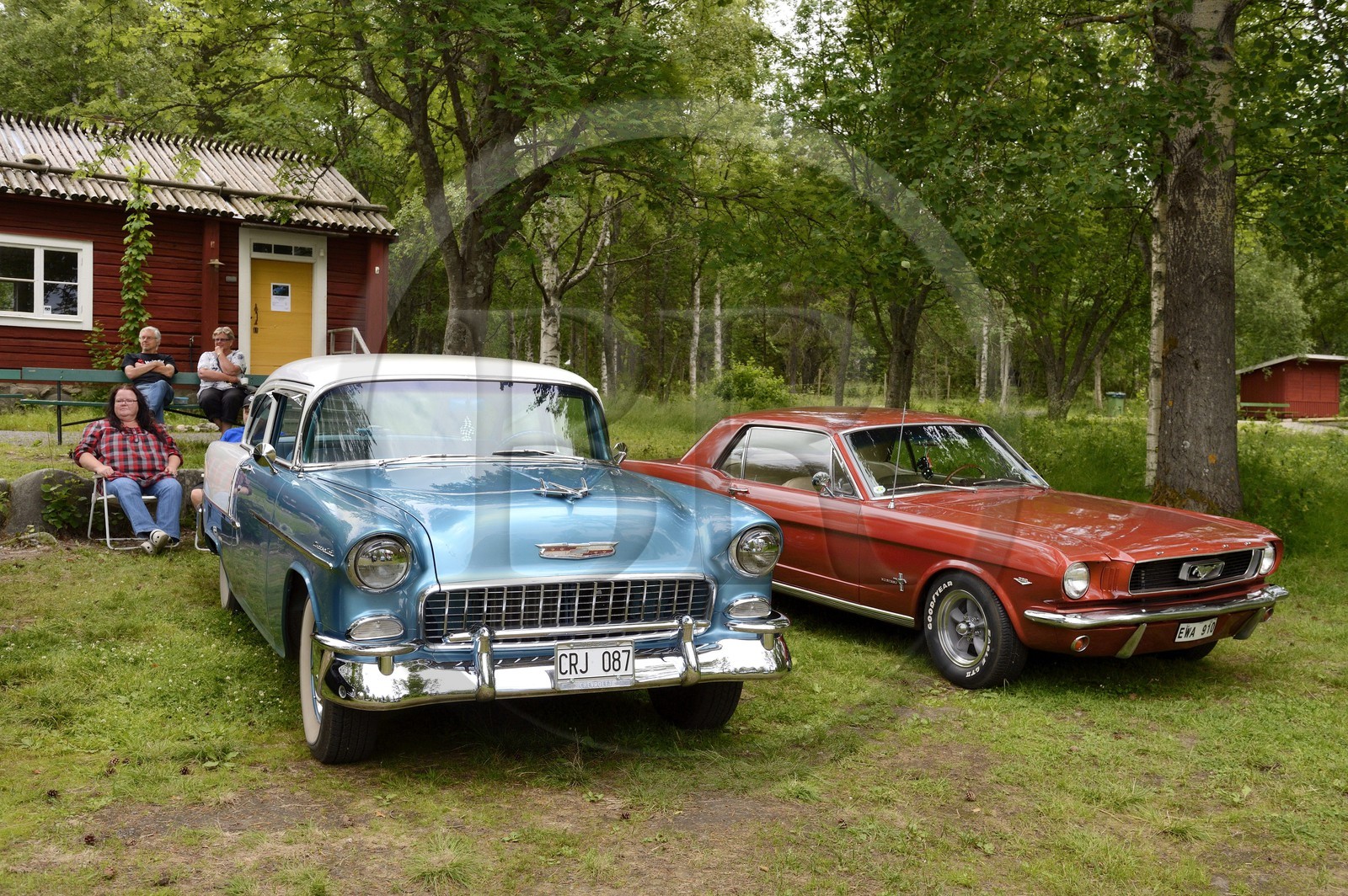 Suède, Comté de Vasterbotten, Umea, réunion de voitures anciennes dans le parc Gammlia, 1955 Chevrolet (parfois appelée '55 Chevy) et Ford Mustang 289 de 1967-1968