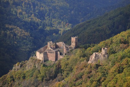 France, Haut-Rhin (68), Ribeauvillé, châteaux Saint-Ulrich et Girsberg à droite (photo aérienne)