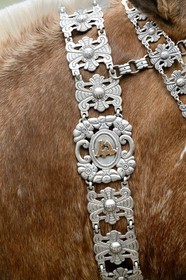 Argentine, province de Buenos Aires, San Antonio de Areco, fête du Jour de la Tradition (Dia de la Tradicion), travail d'orfèvre sur un harnais en argent utilisé lors de grandes occasions, détail