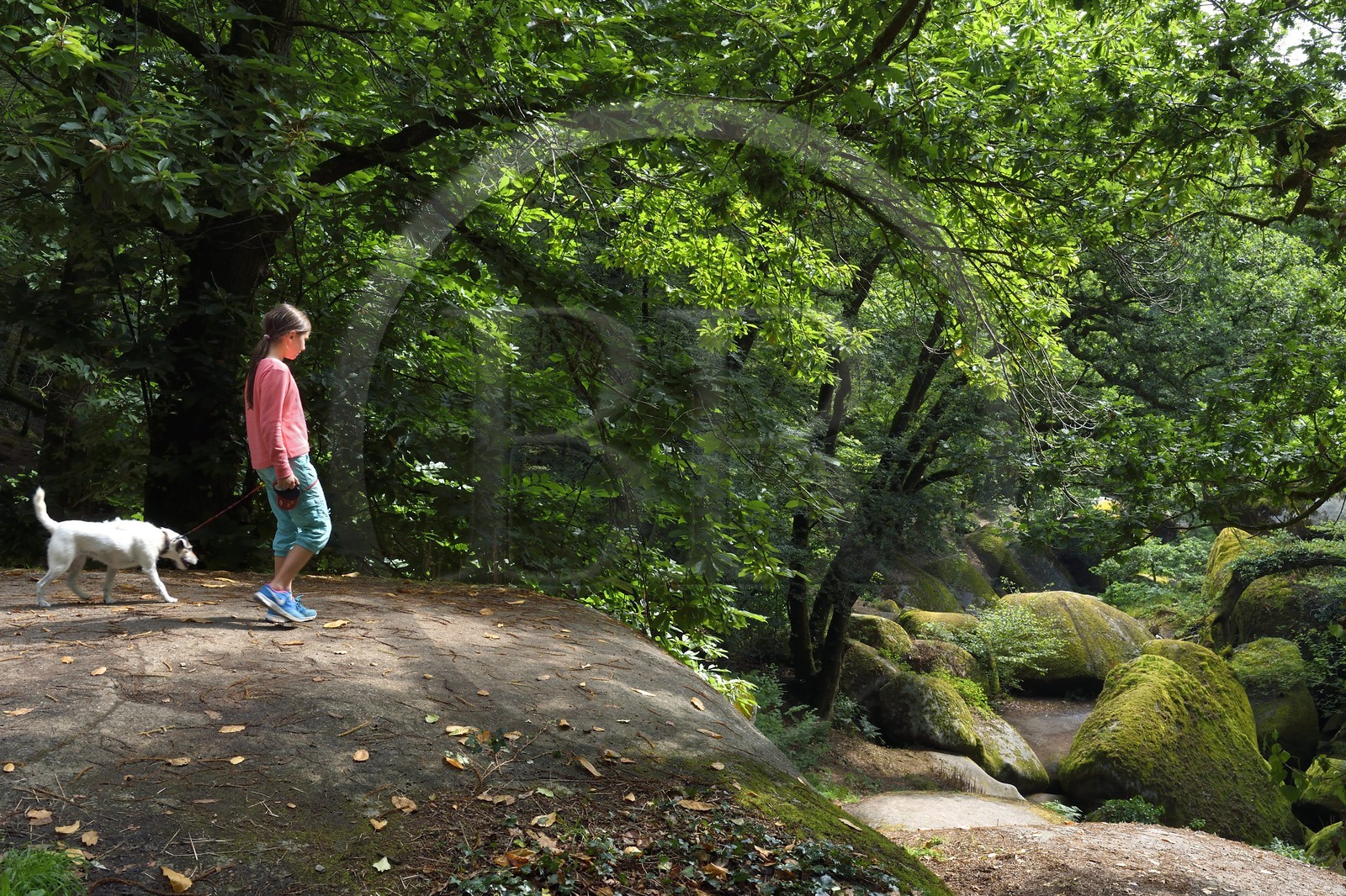 France, Finistere, Parc Naturel Regional d'Armorique (Armorique Natural Regional Park), Huelgoat, granitic chaos of the Huelgoat forest