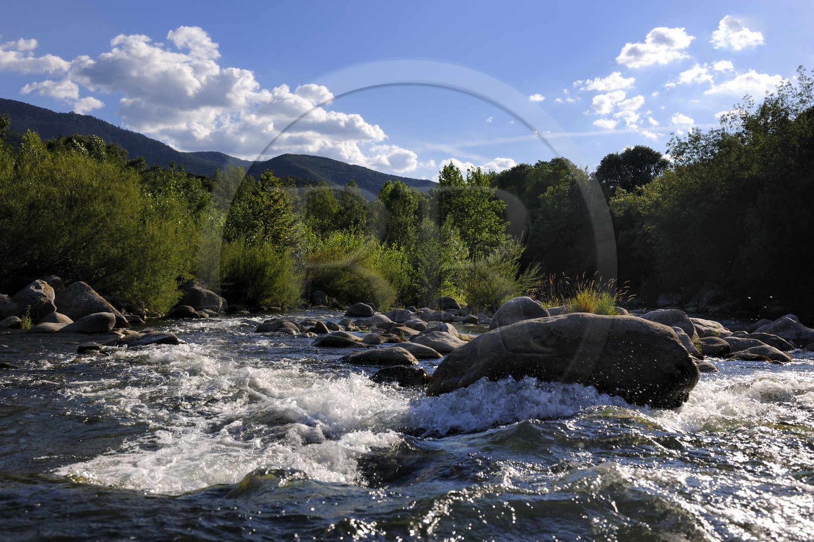 France, Hérault (34), vallée de l' Orb à Tarrassac à coté de Mons la Trivalle, la rivière Orb
