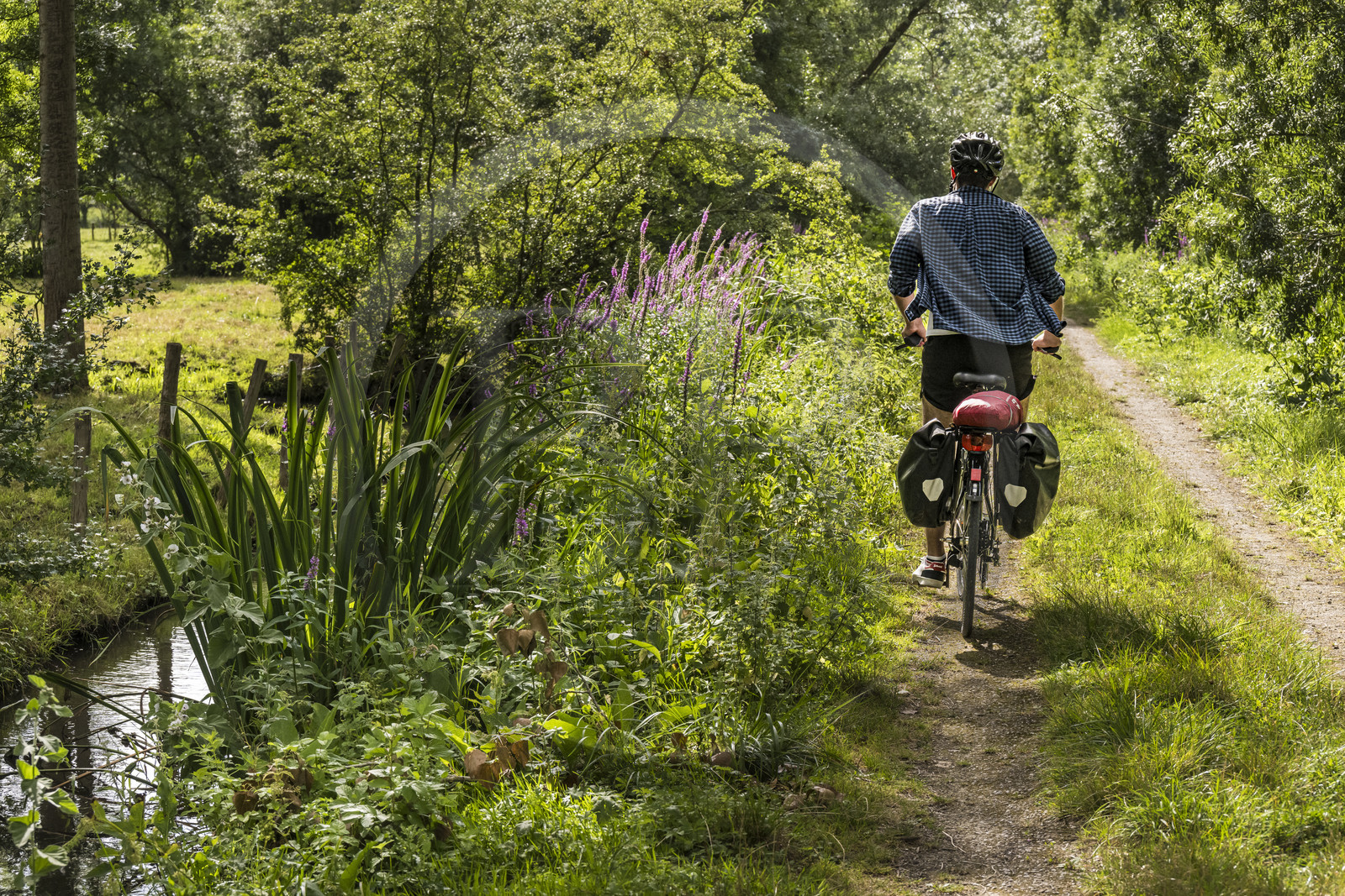 France, Deux-Sèvres, le Marais Poitevin, Green Venice, Le Vanneau-Irleau, bicycle journey along the canals