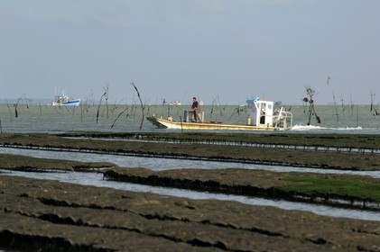 France, Charente-Maritime (17), le bassin Marrennes-Oléron au large de l'Ile d'Oléron, chaland dans les parcs à huîtres
