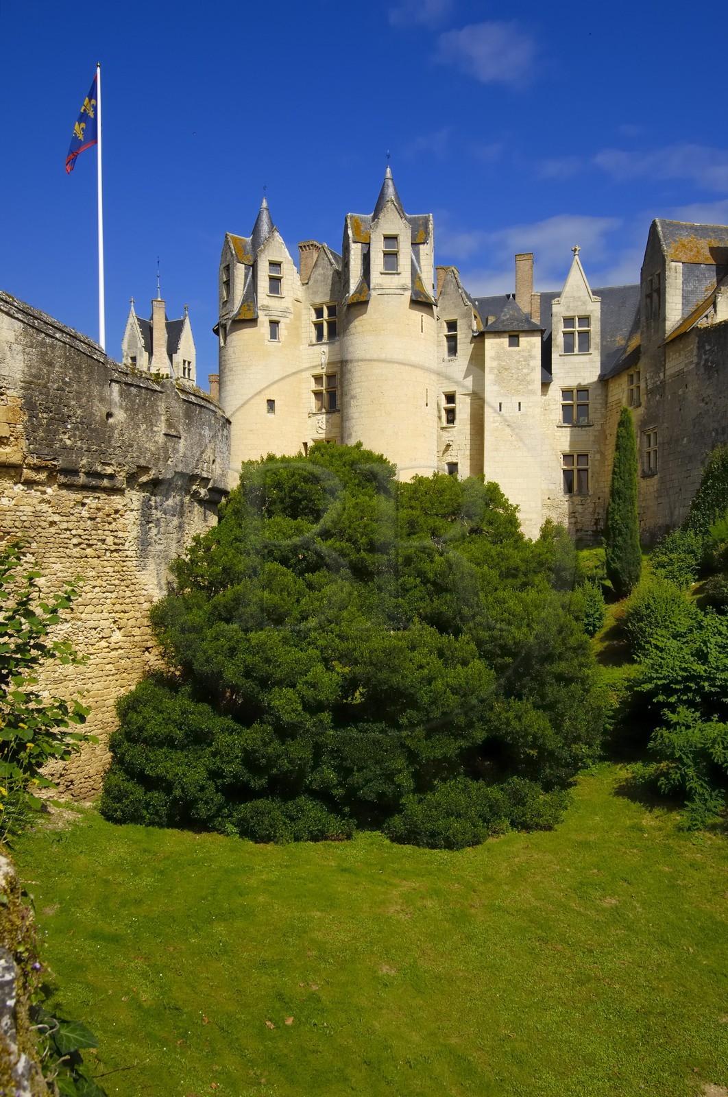 France, Maine et Loire, Chateau de Montreuil Bellay
