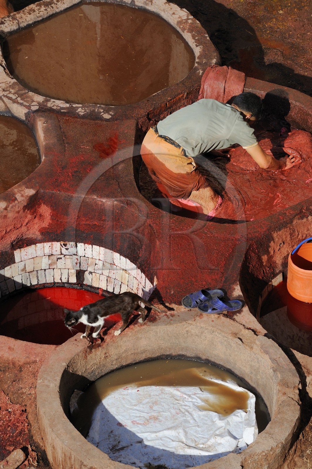 Maroc, Moyen Atlas, Fès, ville impériale, médina classée Patrimoine Mondial de l'UNESCO, Fès el Bali, quartier des tanneurs, Chouara