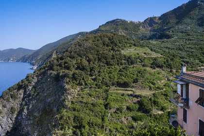 Italie, Ligurie, Cinque Terre, parc national des Cinque Terre classé Patrimoine Mondial de l'UNESCO, village de  Corniglia, vue sur la côte et le vignoble à l'Ouest, le hameau de San Bernardino en arrière plan en haut de la montagne