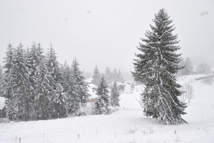 France, Haute Savoie, Les Carroz d'Araches ski resort, Araches la Frasse village