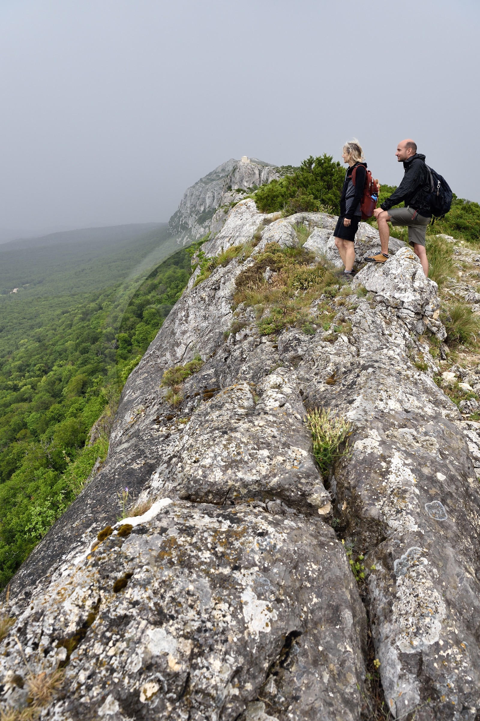 France, Var, Plan d'Aups Sainte Baume, Sainte-Baume Regional Nature Park, Sainte-Baume Massif, hikers on the GR 98 at the top of the cliff overlooking the relict forest and the chapel of Saint-Pilon in the background