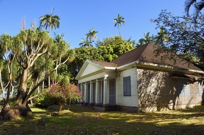 France, Ile de la Reunion, Case historique de la propriété de la famille Isautier dans les hauts de Saint-Pierre, au premier plan à gauche un arbre appelé Pied d'Elephant (Beaucarnea recurvata)