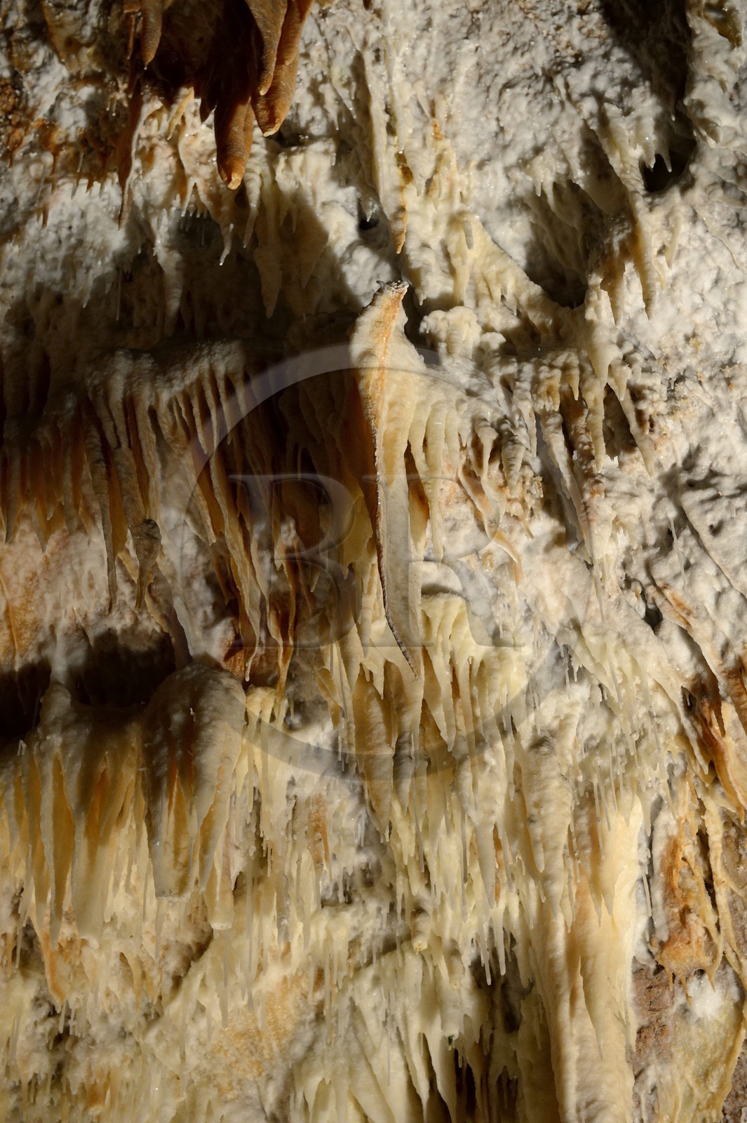France, Ardeche, Saint Marcel d'Ardeche, the Grotte de la Madeleine (Madeleine Cave)