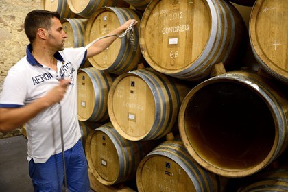 France, Loire, Parc Naturel Regional du Pilat (Natural Regional Park of Pilat), the domaine du Monteillet Stephane Montez, Stephane Montez in his wine cave