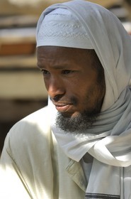 Egypte, Haute Egypte, Daraw au nord d'Assouan, marché aux animaux