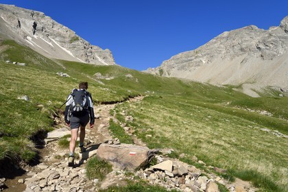 France, Alpes de Haute Provence, Uvernet Fours, Mercantour National Park, Ubaye valley, Cayolle pass (2326 m), hiking trail that climbs through the alpine lawn on the lake tour under the mountain top of the Eagle Hole
