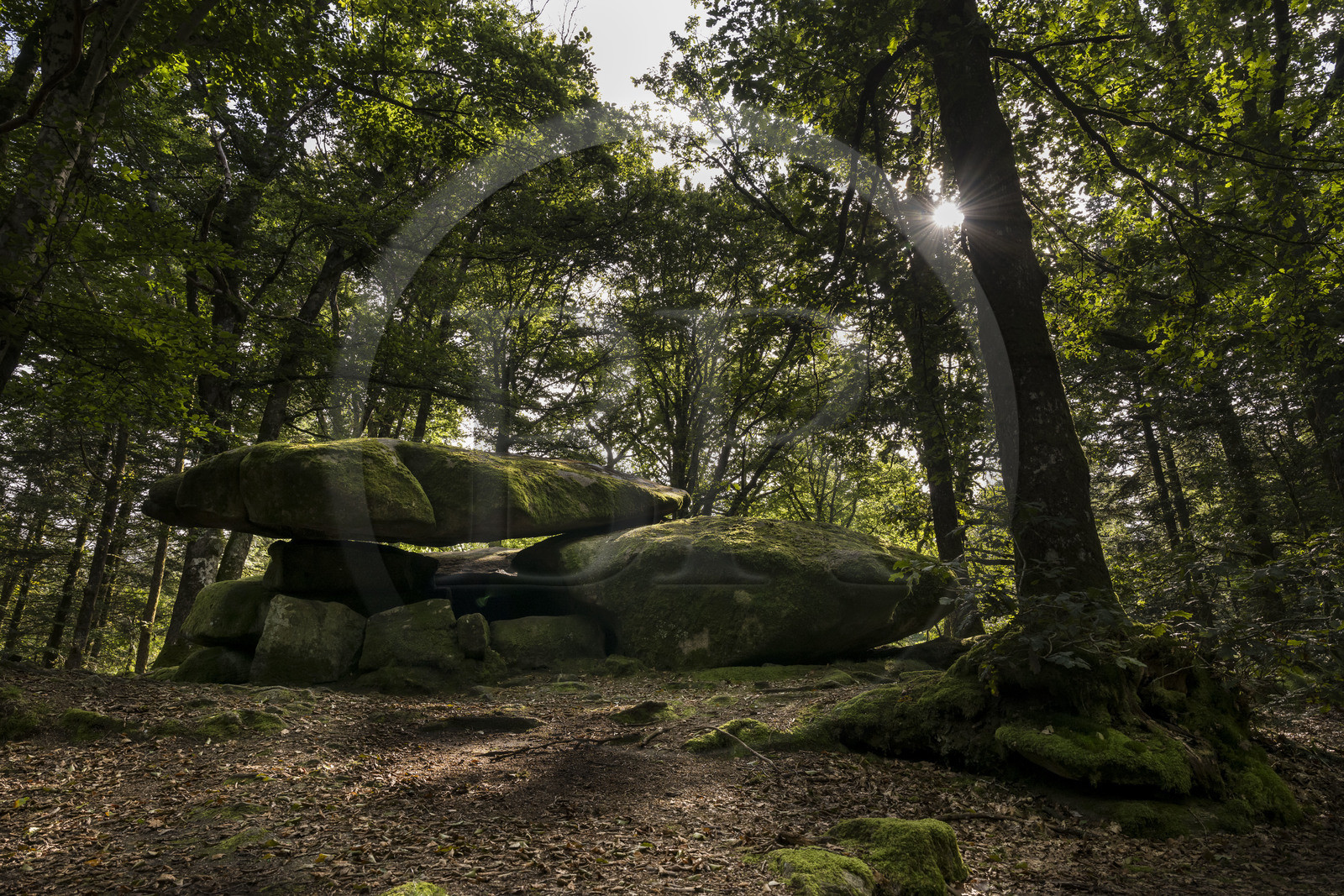 France, Nièvre (58), Parc naturel régional du Morvan, Dun-les-Places, lieu dit Dolmen de Chevresse, chaos granitique formé par l’érosion, dans la forêt de Breuil-Chenue