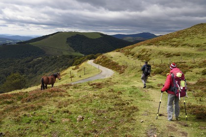 Spain, Basque Country, Navarra, pilgrims on the Camino de Santiago (the Way of St. James) above Roncesvalles