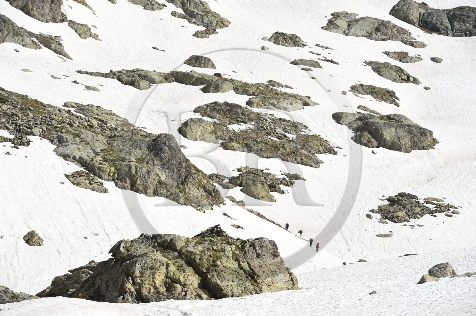 France, Alpes-Maritimes (06), parc national du Mercantour, Haute-Vésubie, vallon de la Madone de Fenestre, randonnée vers le col de Fenestre