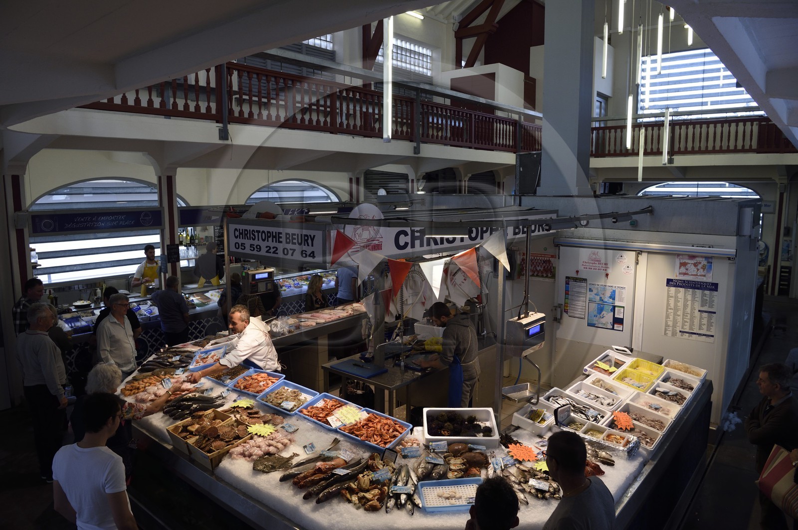 France, Pyrenees Atlantiques, Basque Country, Biarritz, the covered market les Halles, the fishmonger's hall