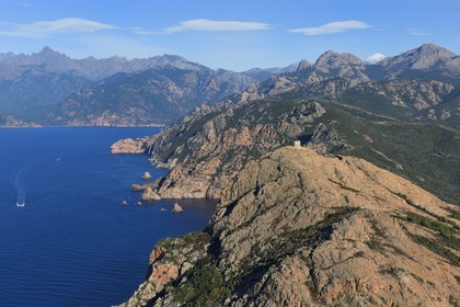 France, Corse du Sud, Golfe de Porto, listed as World Heritage by UNESCO, the Capo Rosso and the Genovese Tower of Turghiu (Turghio) in the background (aerial view)