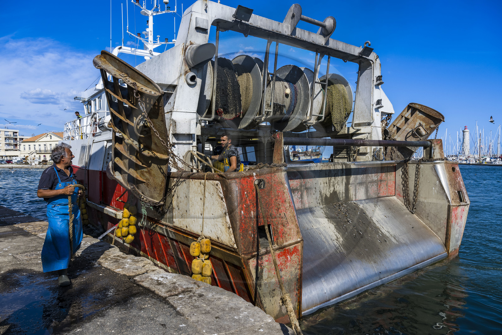 France, Hérault (34), Sète, Port de pêche, retour des chalutiers à quai et déchargement de la pêche