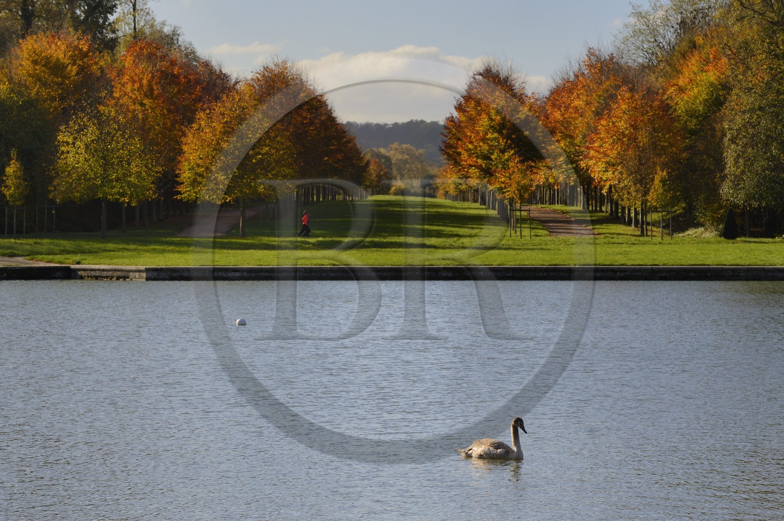 France, Yvelines (78), parc du château de Versailles, classé Patrimoine Mondial de l'UNESCO, le Grand Canal