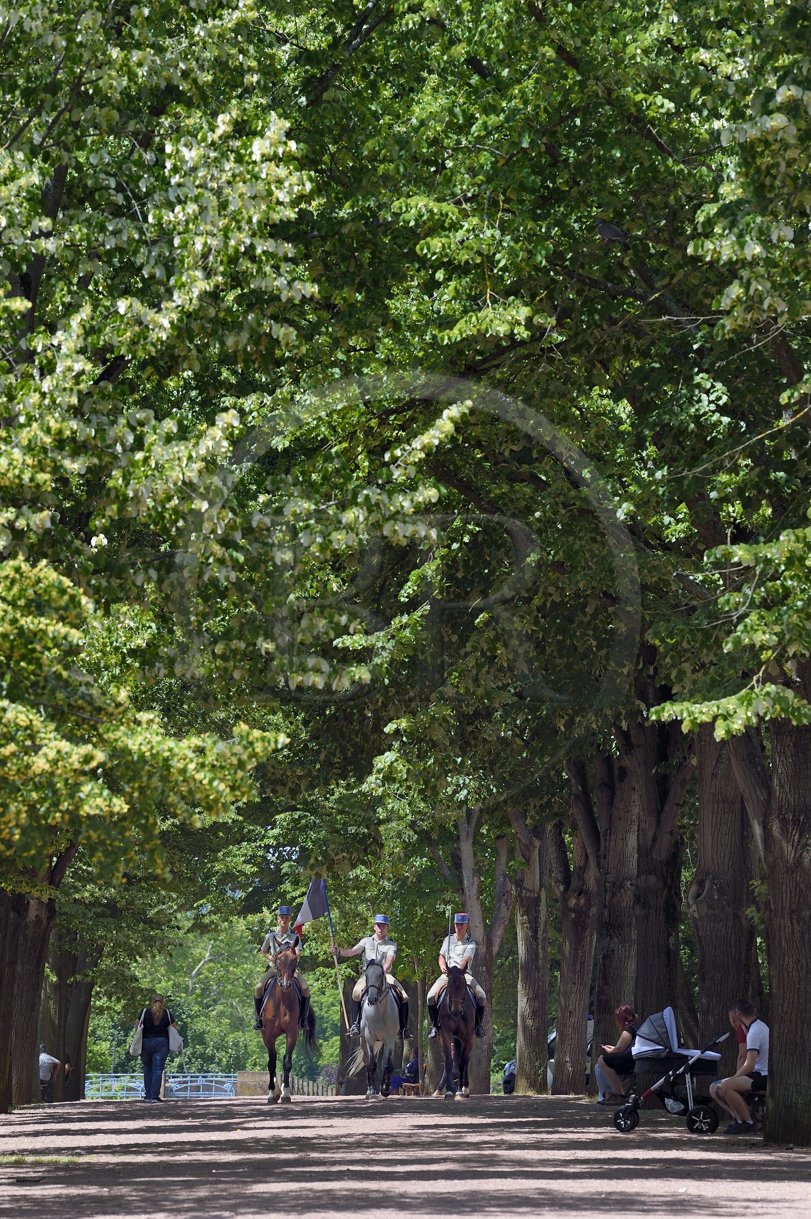 France, Moselle (57), Metz, jardins de l'Esplanade, cavaliers se préparant à la passation de commandement du 3e régiment de hussards