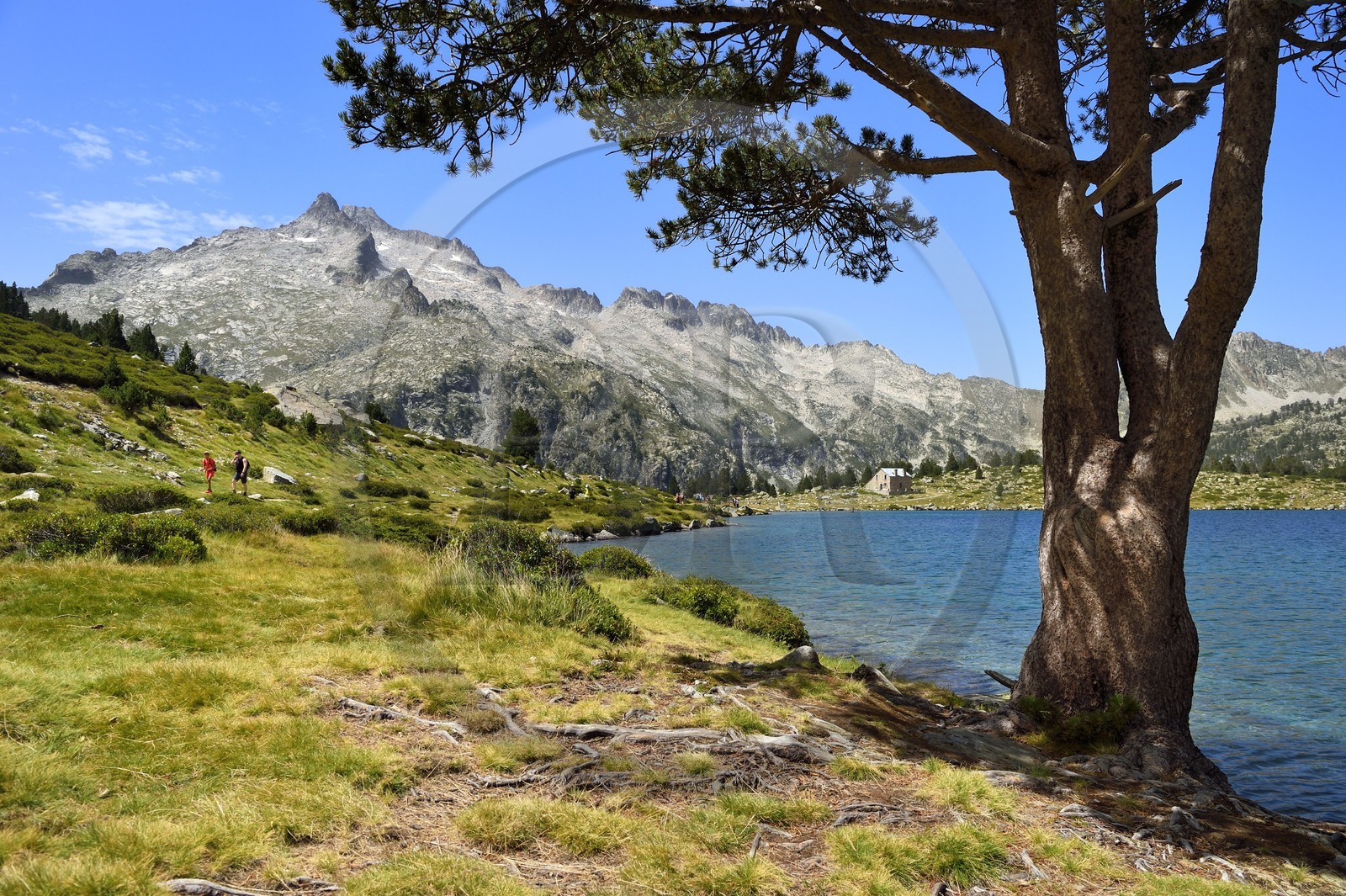 France, Hautes-Pyrénées (65), Saint-Lary-Soulan et Vielle-Aure, Réserve naturelle nationale du Néouvielle, randonnée des lacs du Neouvielle, lac d'Aumar et le pic de Néouvielle en arrière plan