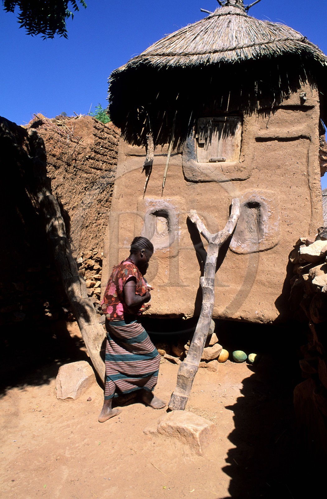 Mali, pays Dogon, falaise de Bandiagara classée Patrimoine Mondial de l'UNESCO, un grenier traditionnel de femme avec une échelle d'accès en bois