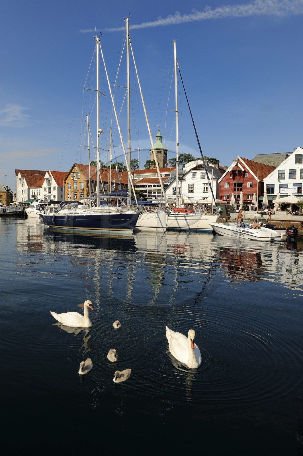 Norvège, Rogaland, Stavanger, bateaux de plaisance et cygnes dans le vieux port (Vagen)