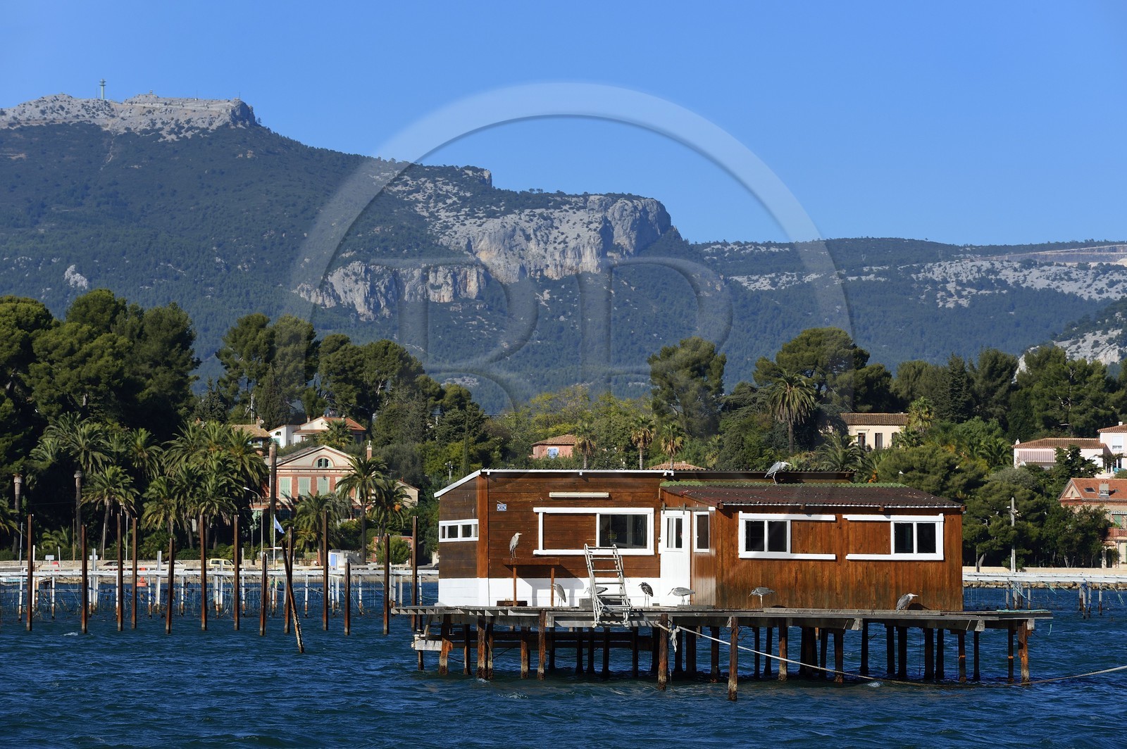 France, Var (83), la rade de Toulon, La Seyne-sur-Mer, parc à moules et huitres, ferme d'aquaculture