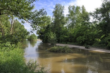 France, Nièvre (58), La Charité-sur-Loire, les bords de Loire le long du sentier du castor