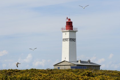 France, Finistere, La Foret Fouesnant, Glenan islands, Penfret island, the lighthouse