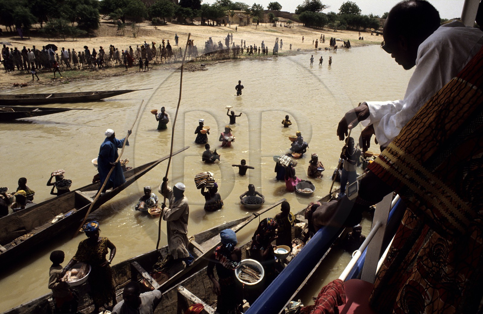 Mali, Fleuve Niger, pirogues accostant le bateau régulier pour vendre des denrées