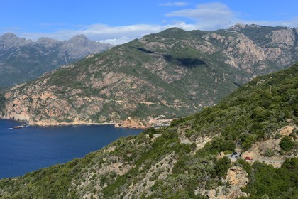 France, Corse du Sud, Golfe de Porto, listed as World Heritage by UNESCO, the Genoese tower above the port pass of Porto and the D81 road going to Cargese