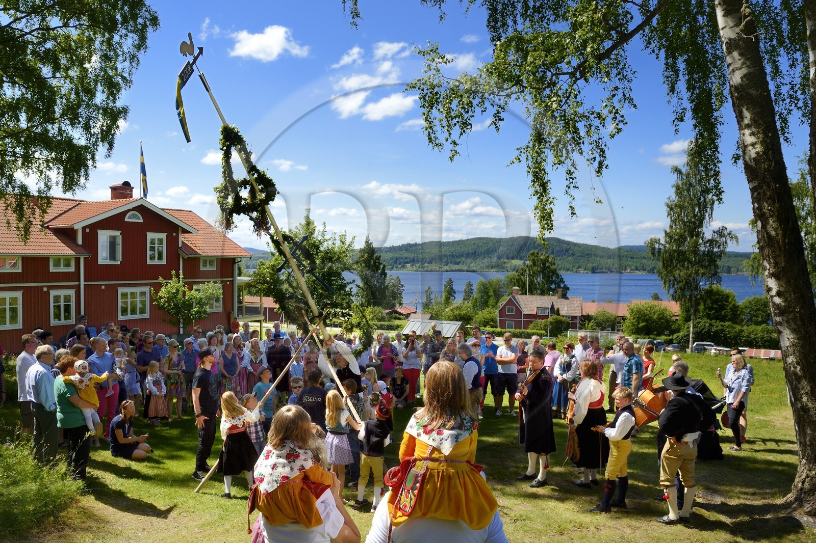 Sweden, Dalarna County, Leksand area, Midsummer celebrations in the tiny hamlet of Sunnanäng on the shore of Lake Siljan, uprising the maypole