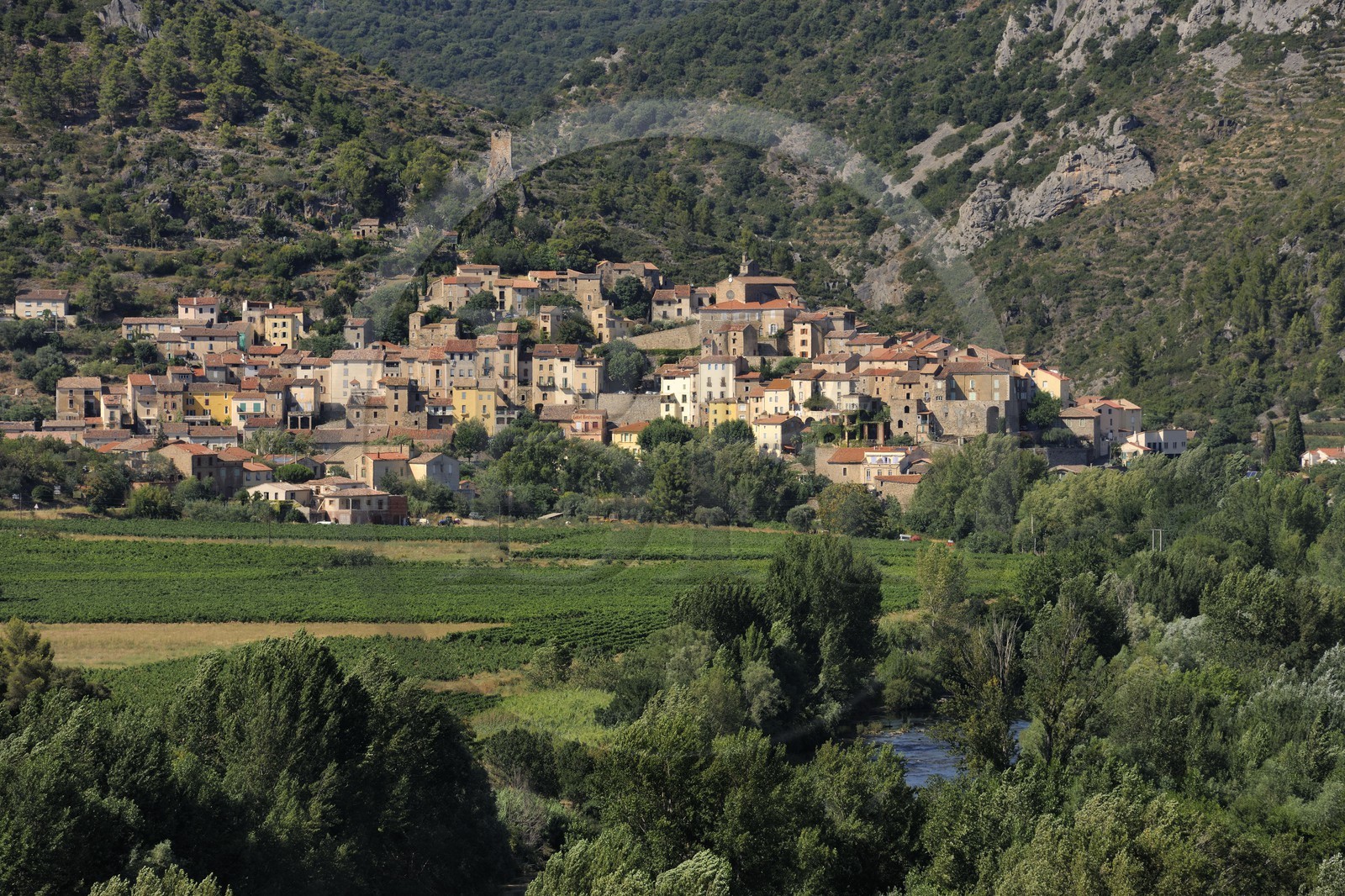 France, Hérault (34), vallée de l' Orb, village de Roquebrun au lointain et vignoble AOC Saint-Chinian & Roquebrun