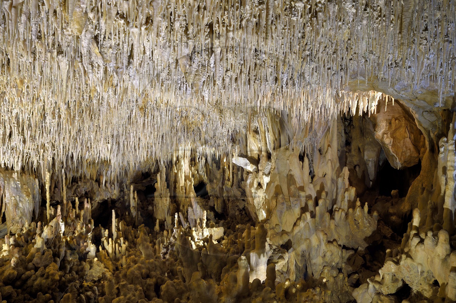 France, Dordogne (24), Périgord Vert, Villars, Grotte de Villars, concrétions dans les grottes
