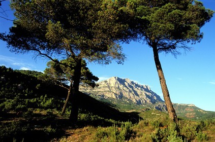 France, Bouches du Rhone, Montagne Sainte Victoire