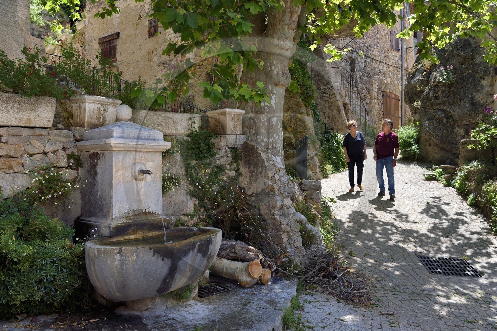 France, Var (83), La Dracénie, village de Tourtour, labellisé Les Plus Beaux Villages de France, fontaine et ruelle
