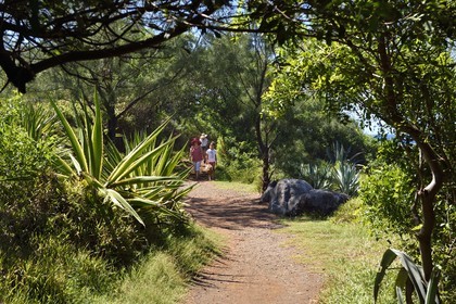 France, Ile de la Reunion, Saint-Joseph, sentier littoral vers la plage de Ti Sable