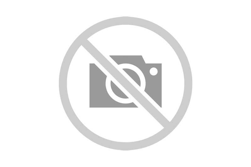 France, Paris (75), Musée Maillol, exposition Markus-Maillol de l'artiste allemand Markus Lüpertz en dialogue avec l'oeuvre d'Aristide Maillol