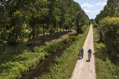 France, Deux-Sèvres, le Marais Poitevin, Green Venice, Sansais, bicycle journey along the Sevre Niortaise River banks on the Vélo Francette cycle path (aerial view)