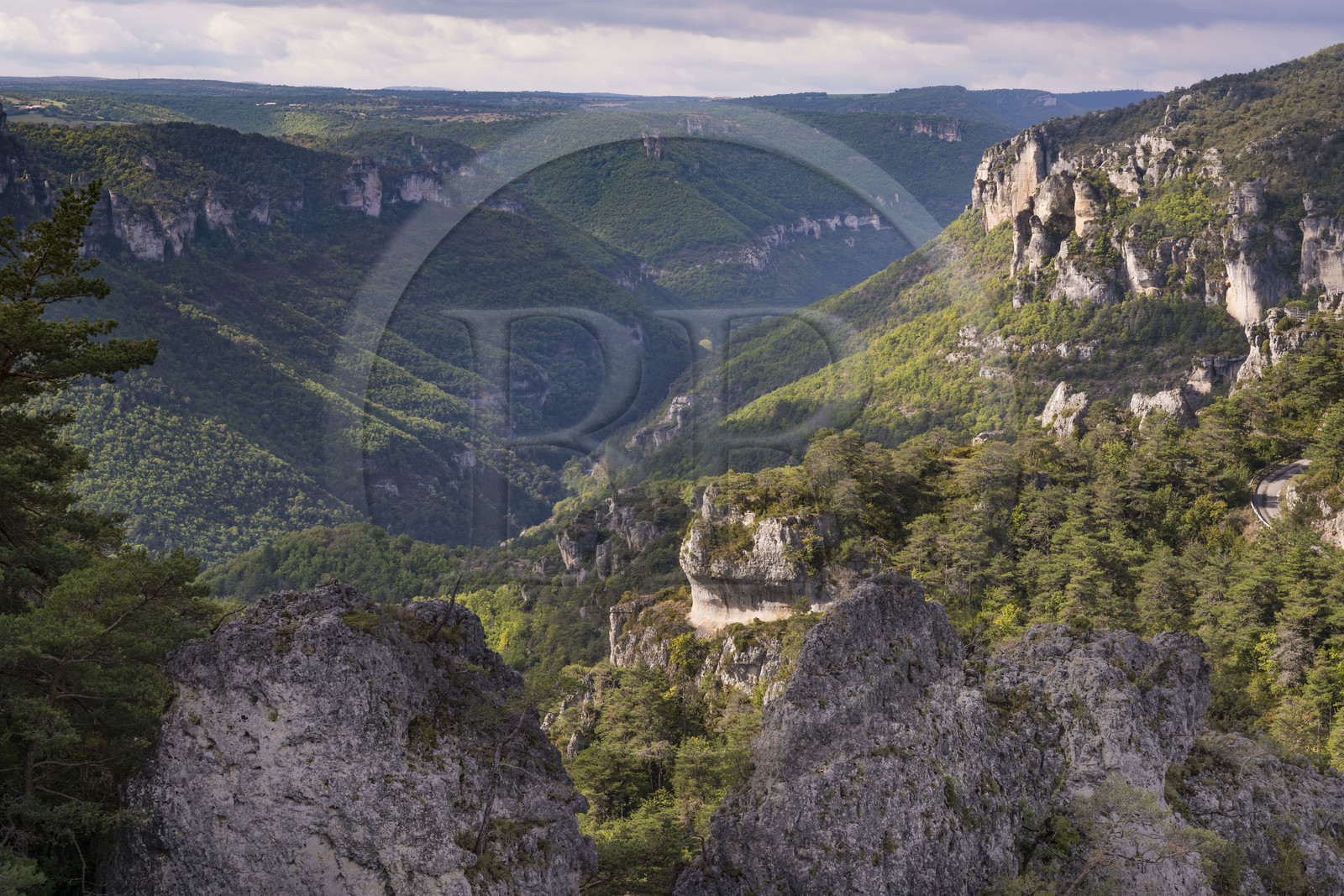 France, Aveyron, Causses and the Cevennes, cultural landscape of Mediterranean agro-pastoralism, listed as World heritage by UNESCO, Causse Noir, La Roque Sainte Marguerite, chaos of Montpellier-le-Vieux, the Cité de Pierres (City of Stones)