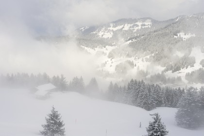 Switzerland, Canton of Vaud, Villars sur Ollon - Gryon ski area