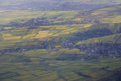 France, Bas Rhin, Orschwiller, Alsace Wine Road, villages towards Bergheim  surrounded by vineyards seen from the Haut Koenigsbourg Castle