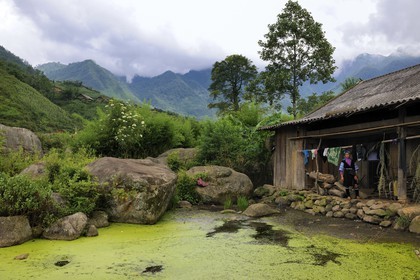 Vietnam, province de Lao Cai, région Nord-Ouest de Sapa, village de Mong Xoa de la minorité Hmong Bleu