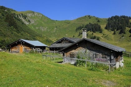 Switzerland, Canton of Vaud, Villars sur Ollon, hamlet of Bretaye