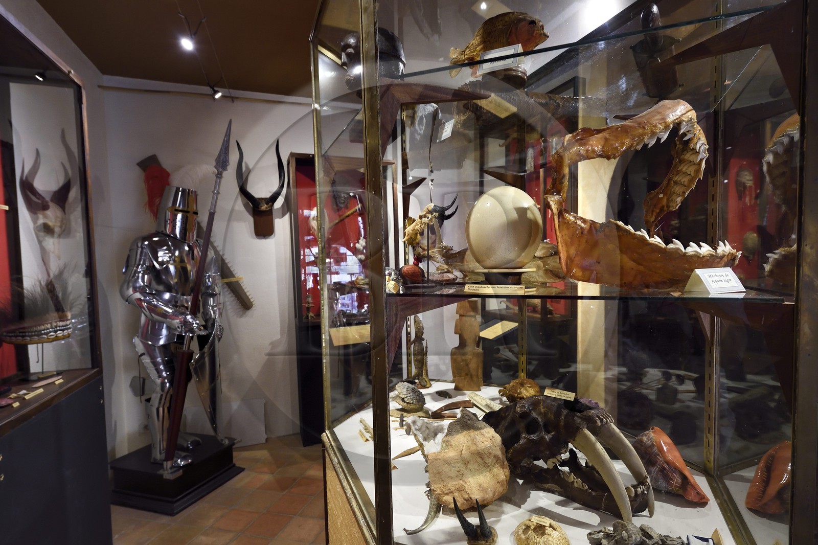 France, Dordogne (24), Périgord Noir, vallée de la Dordogne, Sarlat-la-Canéda, le Manoir de Gisson, cabinet de curiosités dans le musée du Manoir de Gisson