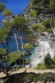 France, Var (83), Six-Fours-les-Plages, randonnée dans le massif du Cap Sicié, plage du Mont Salva vers Le Brusc